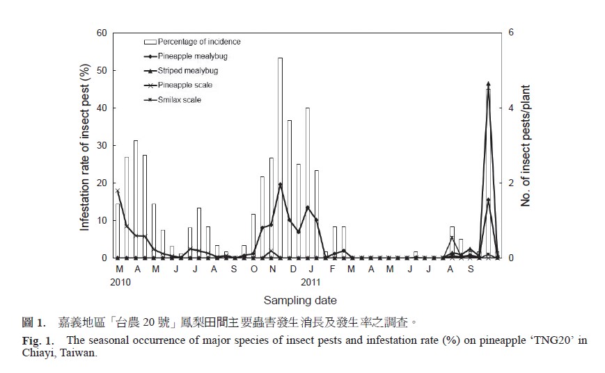 The seasonal occurrence of major species of insect pests and infestation rate (%) on pineapple ‘TNG20’ in Chiayi, Taiwan.